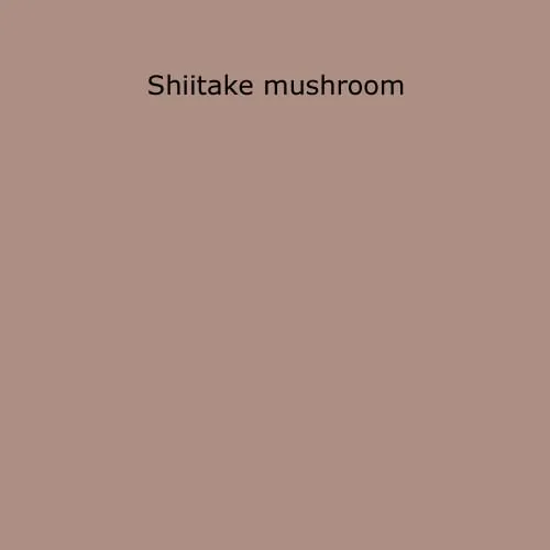 Procion MX  178 Shiitake mushroom - 20 gram